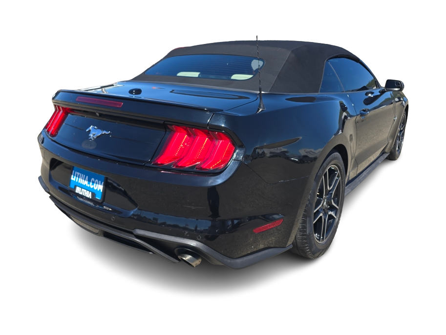 Thumbnail: 2019 Ford Mustang - 17