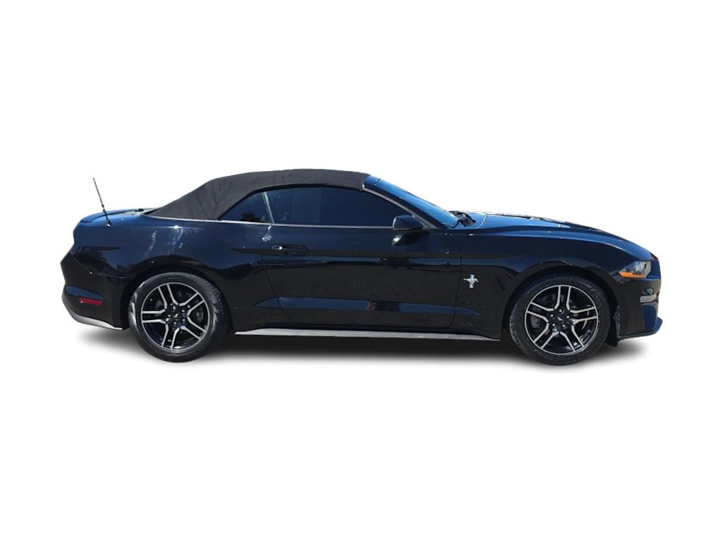 Thumbnail: 2019 Ford Mustang - 18