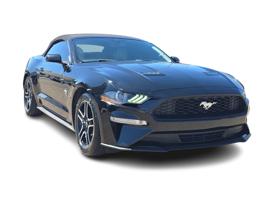 Thumbnail: 2019 Ford Mustang - 19