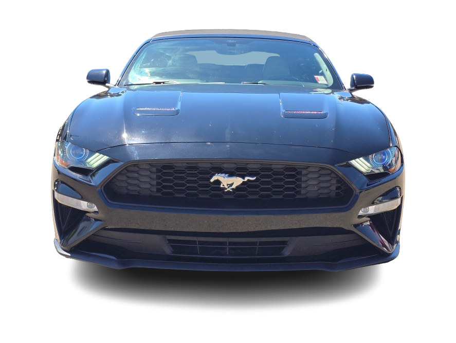 Thumbnail: 2019 Ford Mustang - 6
