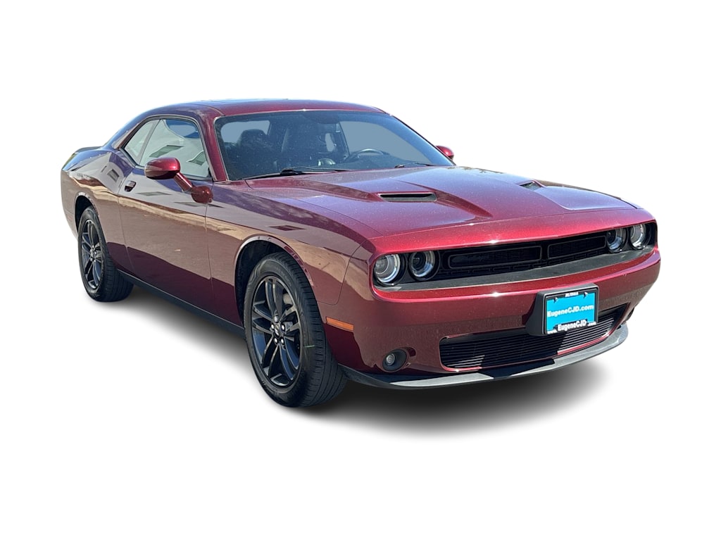 Thumbnail: 2019 Dodge Challenger - 13