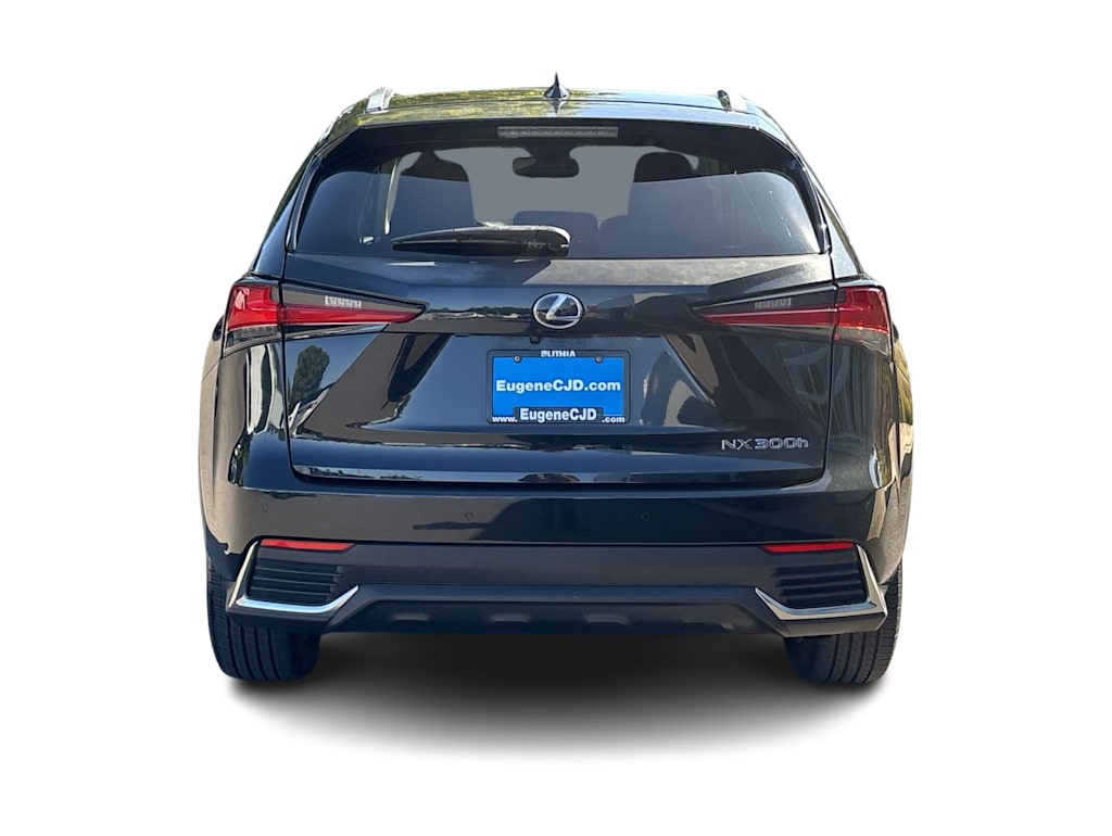 Thumbnail: 2018 Lexus NX - 4