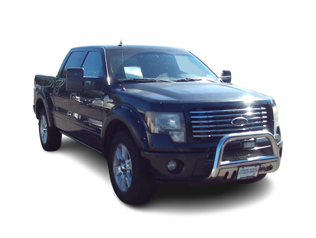 Thumbnail: 2010 Ford F-150 - 9