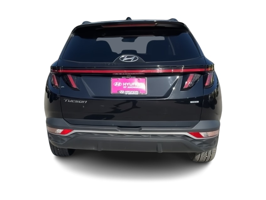 View 5