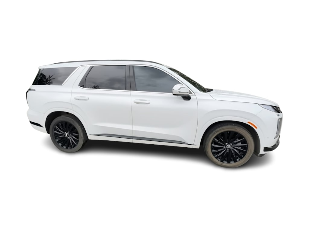 Thumbnail: 2025 Hyundai Palisade - 19