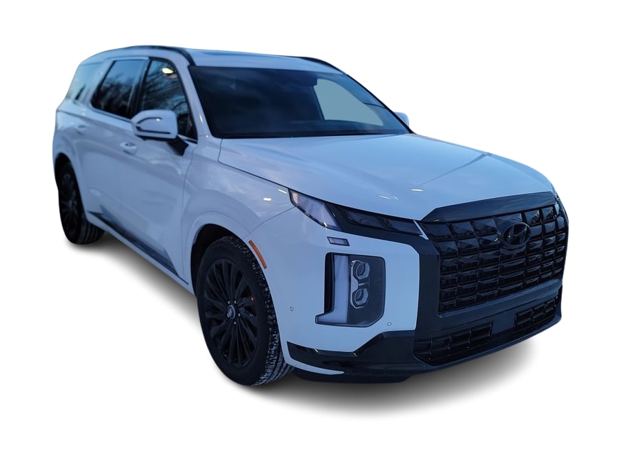 2025 Hyundai Palisade Calligraphy 17