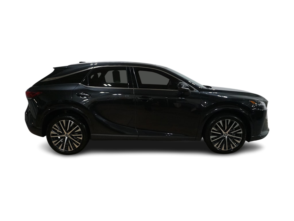 2023 Lexus RX 350 Premium 17