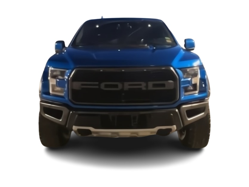 2019 Ford F-150 Raptor 5