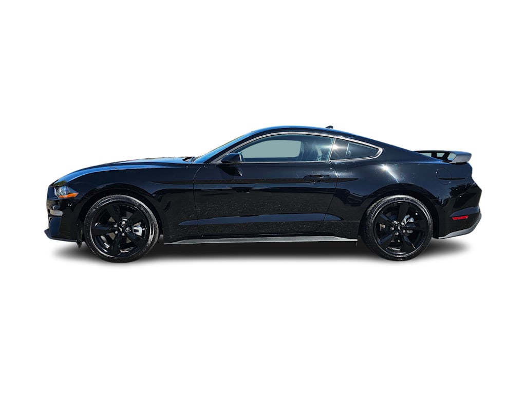 2023 Ford Mustang  3
