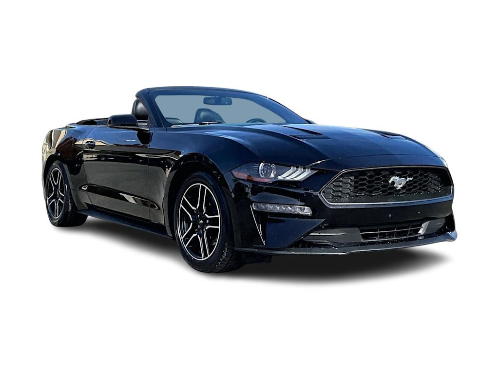 Thumbnail: 2018 Ford Mustang - 20