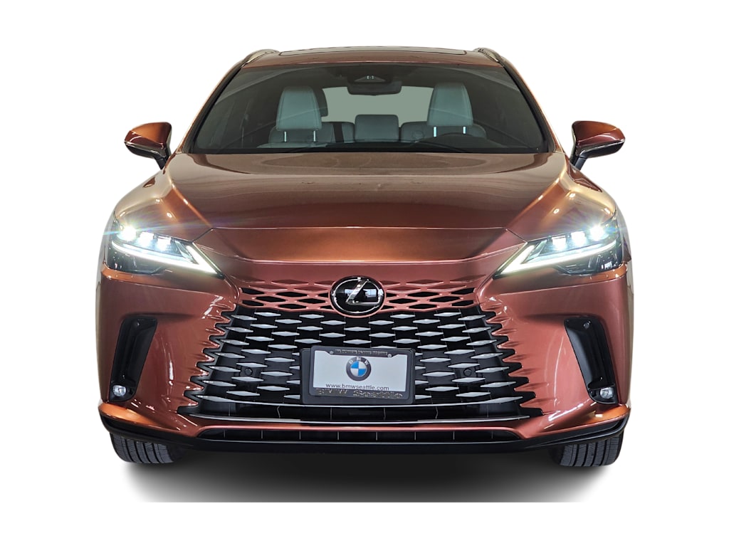 2023 Lexus RX 350 - Photo 6