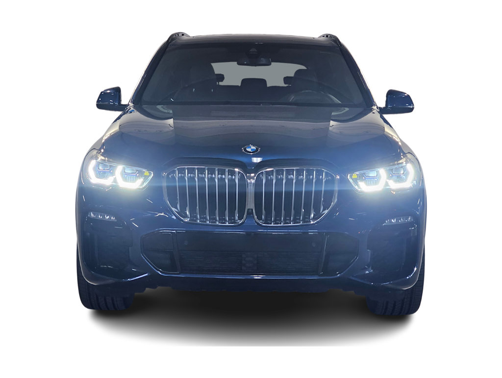 Thumbnail: 2019 BMW X5 - 6