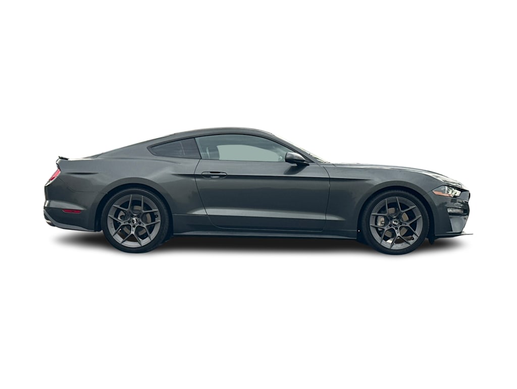 Thumbnail: 2019 Ford Mustang - 20