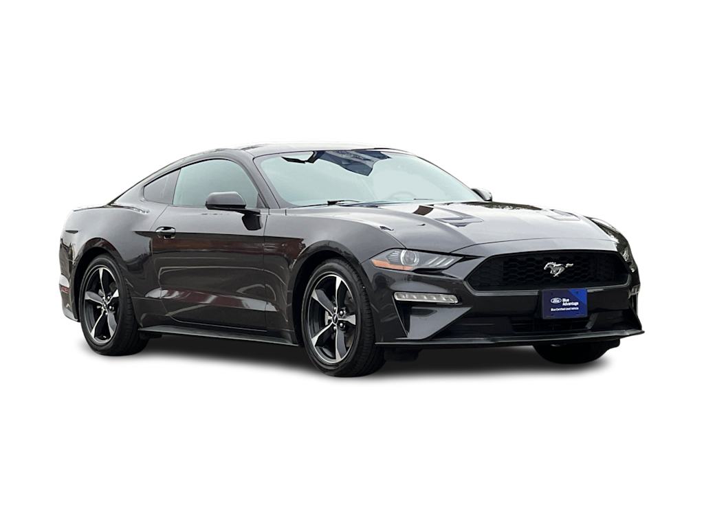 Thumbnail: 2023 Ford Mustang - 19