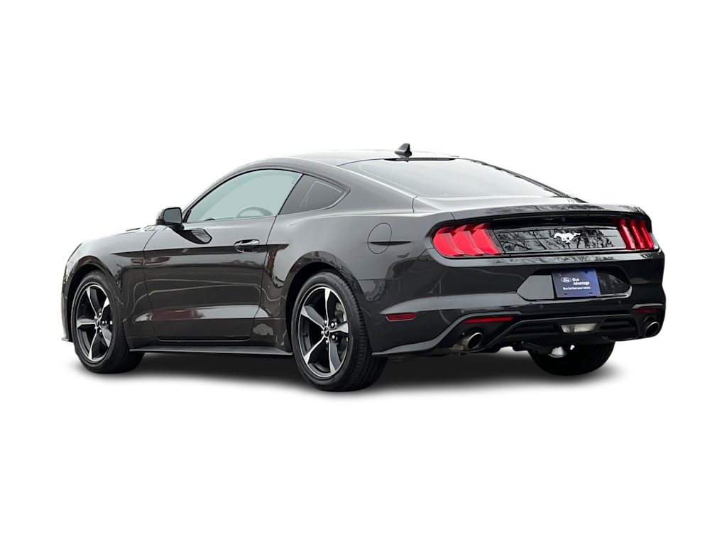 Thumbnail: 2023 Ford Mustang - 4