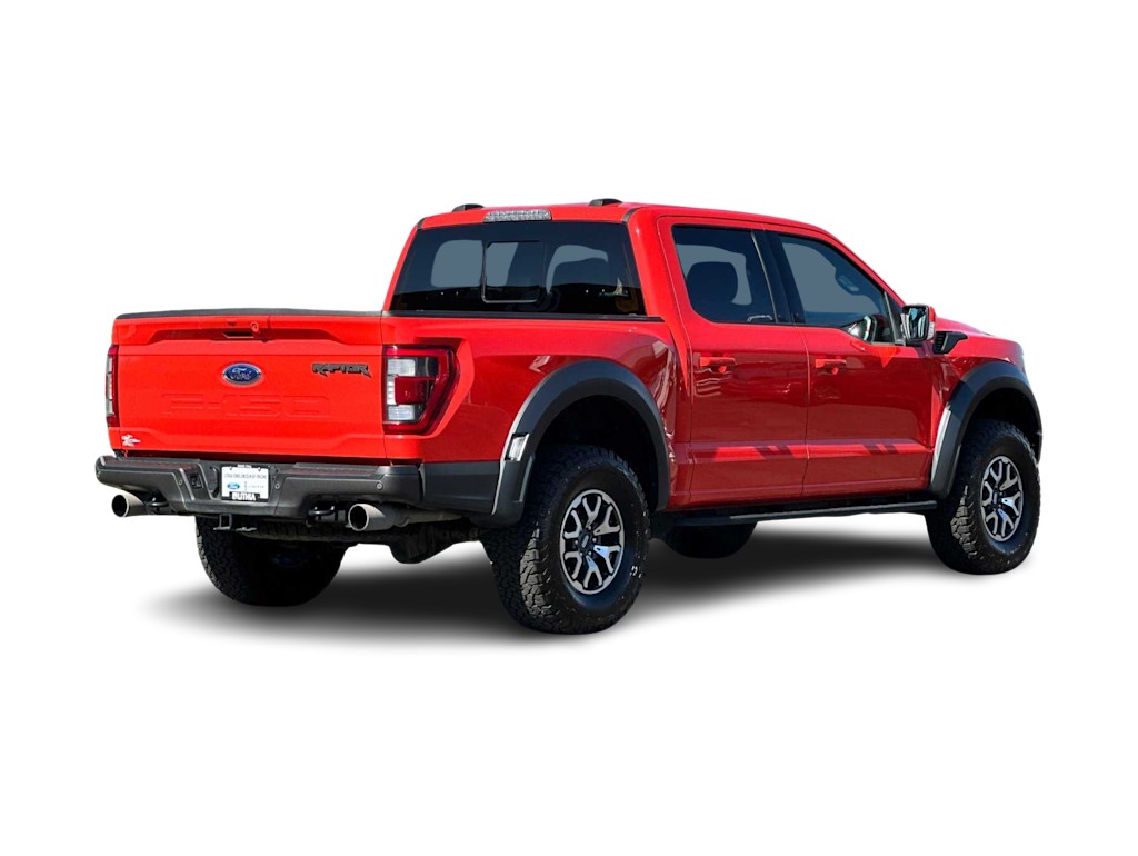 2022 Ford F-150 Raptor 17