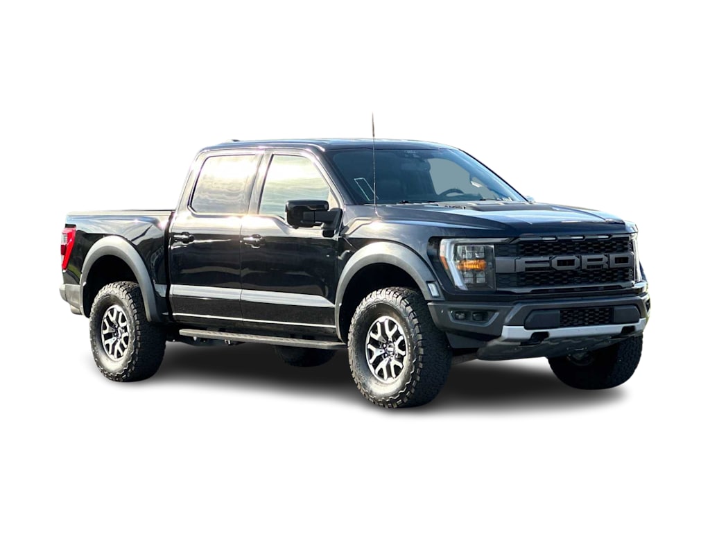 2022 Ford F-150 Raptor 20