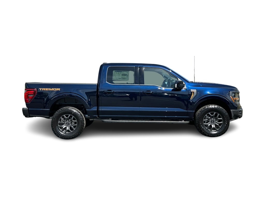 2025 Ford F-150 Tremor 17