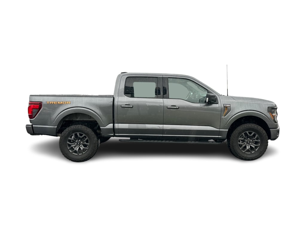 2025 Ford F-150 Tremor 17