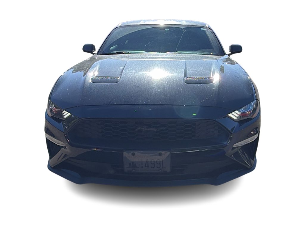 Thumbnail: 2019 Ford Mustang - 5