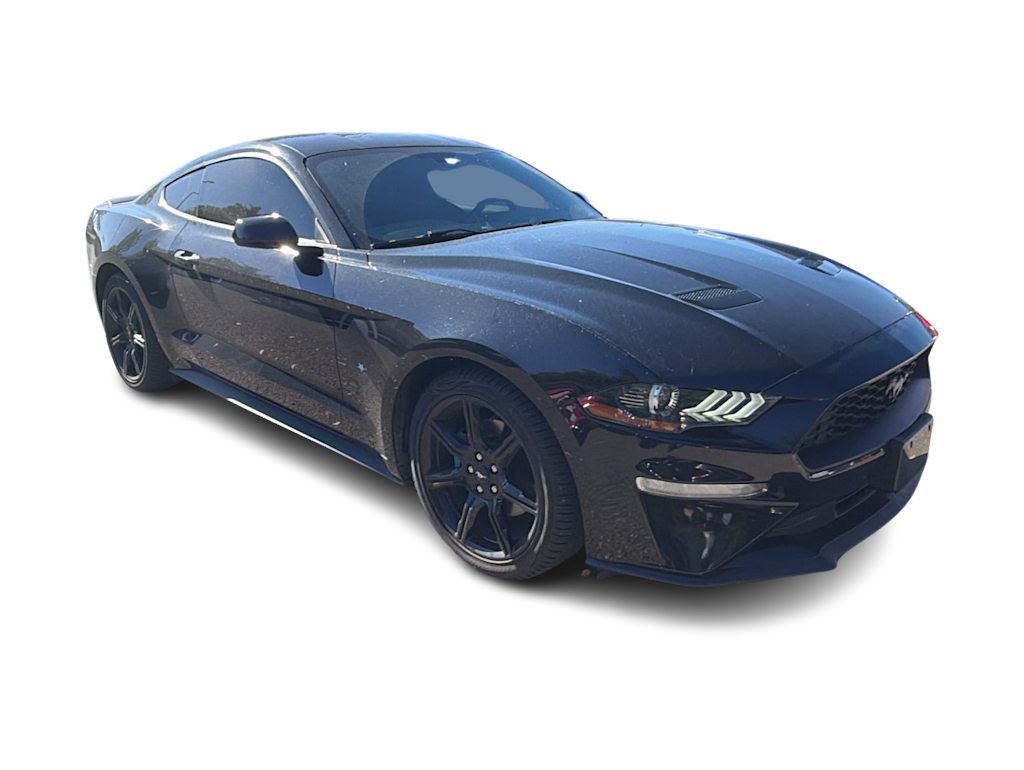 Thumbnail: 2019 Ford Mustang - 12