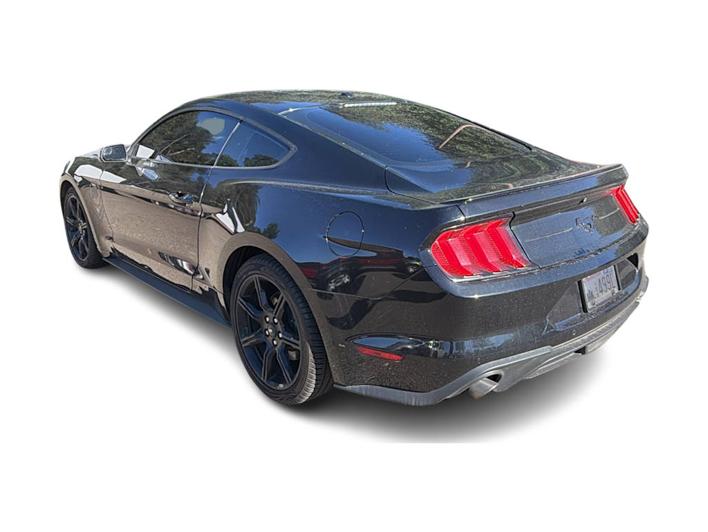 Thumbnail: 2019 Ford Mustang - 4