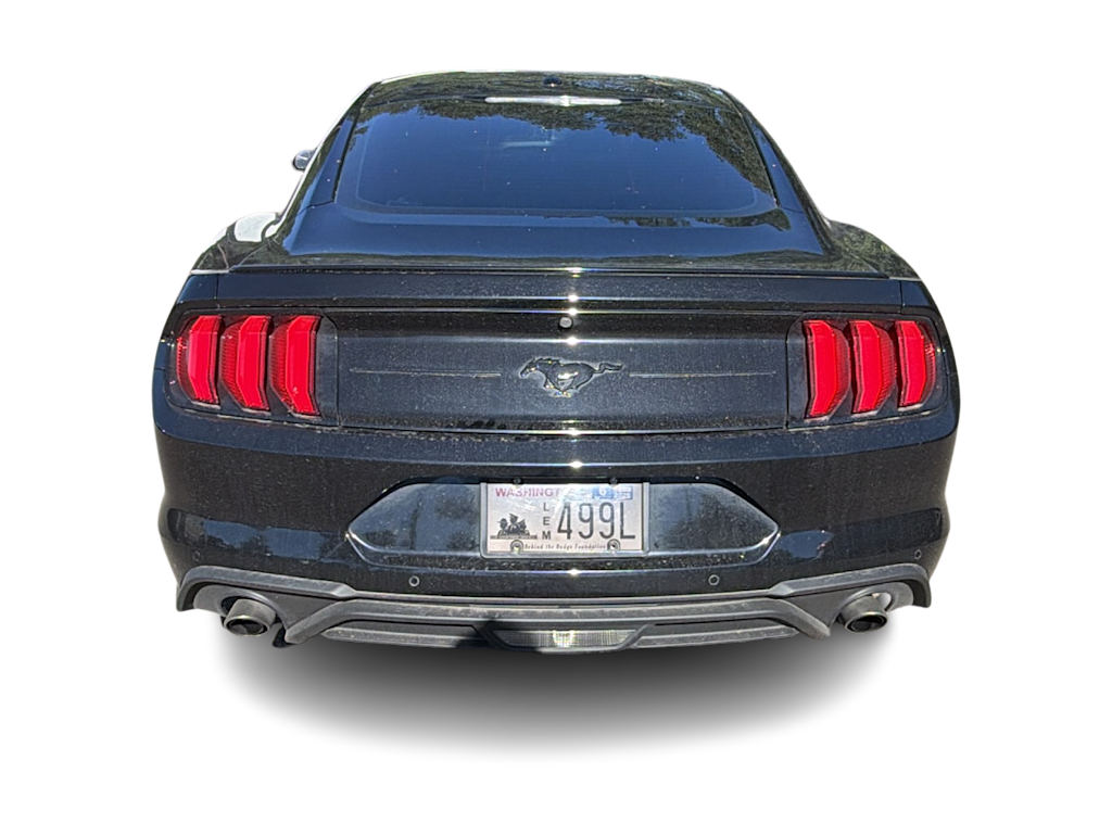 Thumbnail: 2019 Ford Mustang - 15