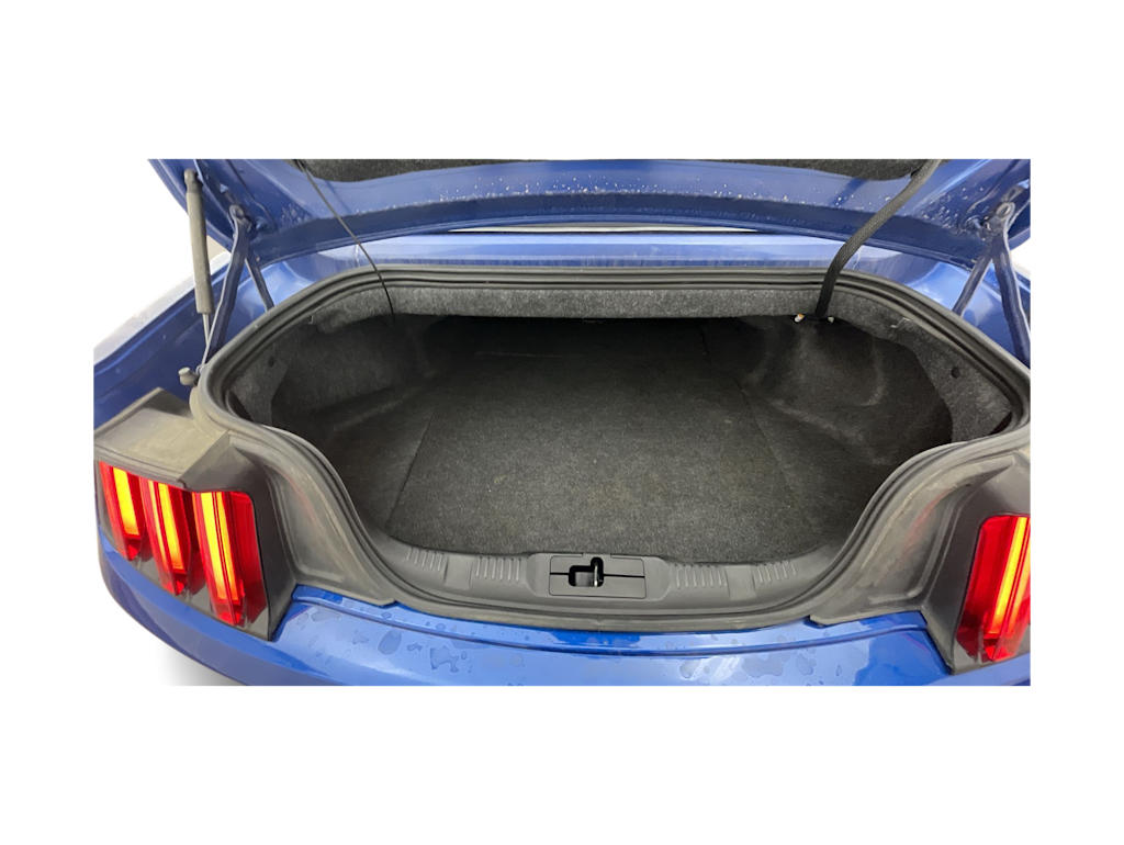 Thumbnail: 2017 Ford Mustang - 17