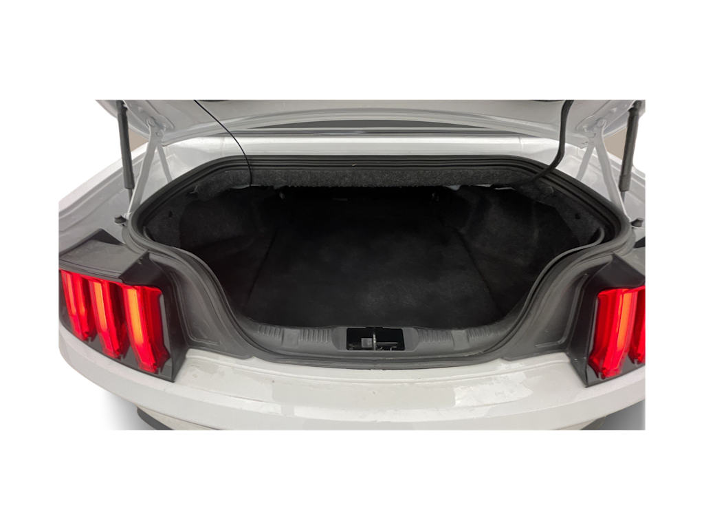 Thumbnail: 2020 Ford Mustang - 18