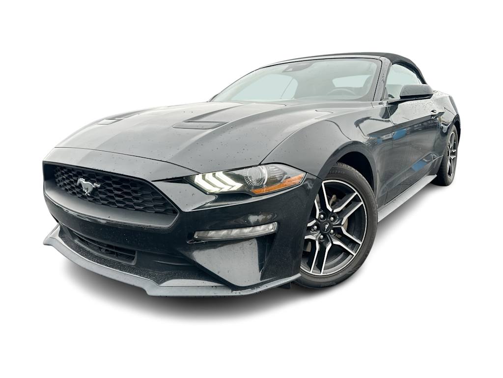 Thumbnail: 2022 Ford Mustang - 4