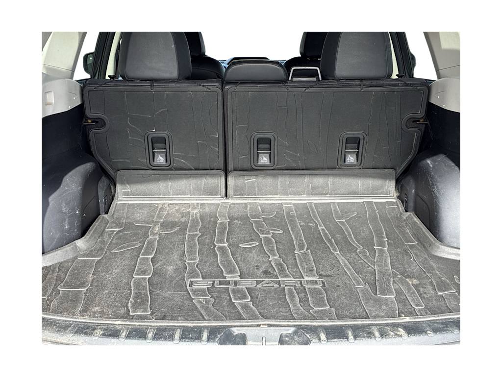 Thumbnail: 2019 Subaru Forester - 15