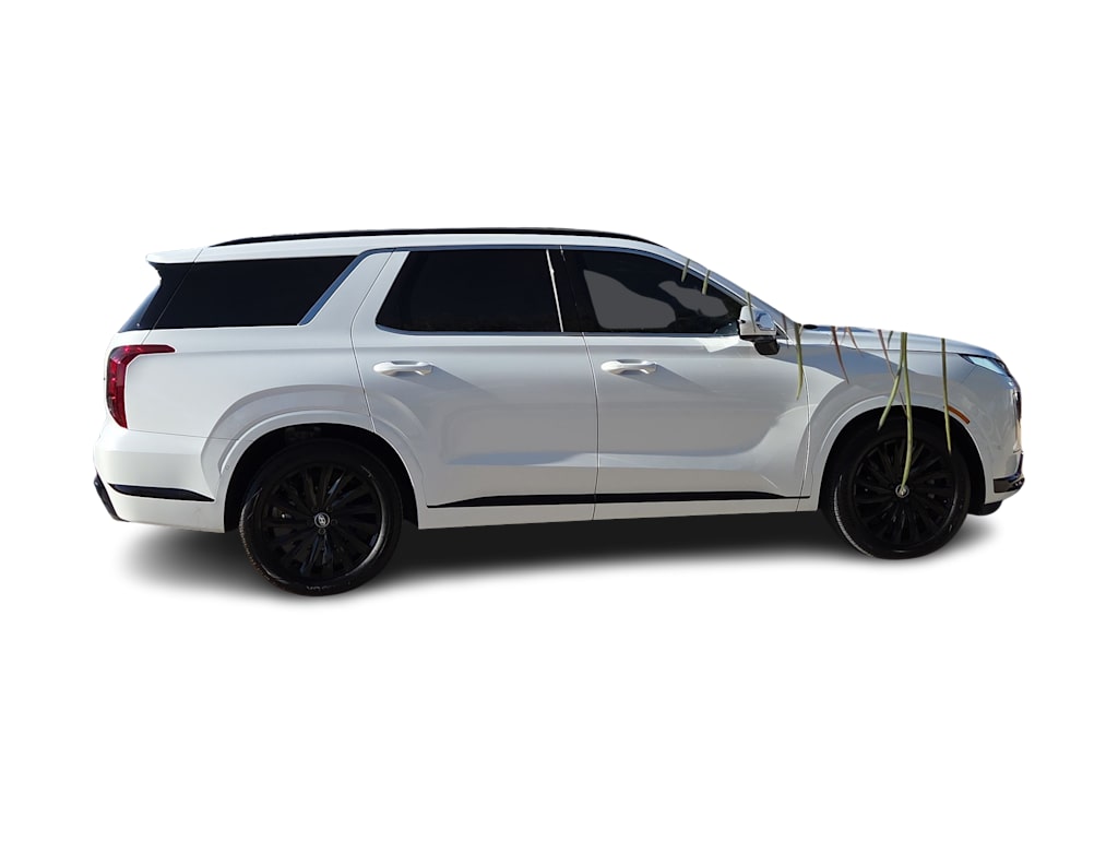 Thumbnail: 2025 Hyundai Palisade - 20