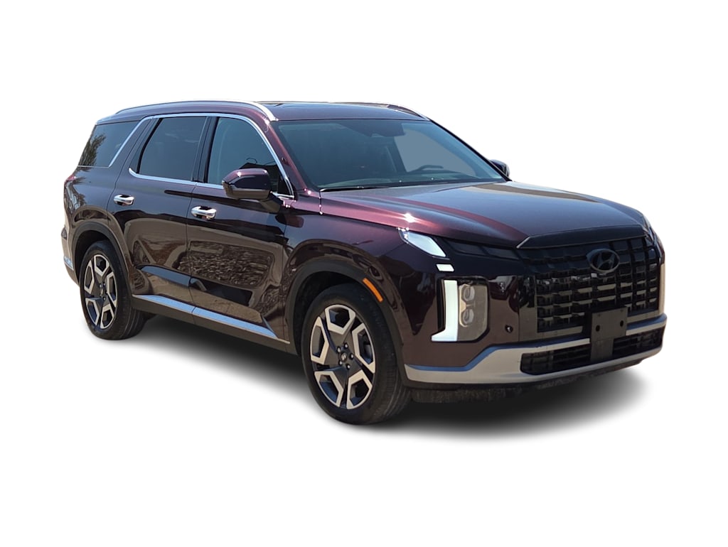 Thumbnail: 2025 Hyundai Palisade - 16