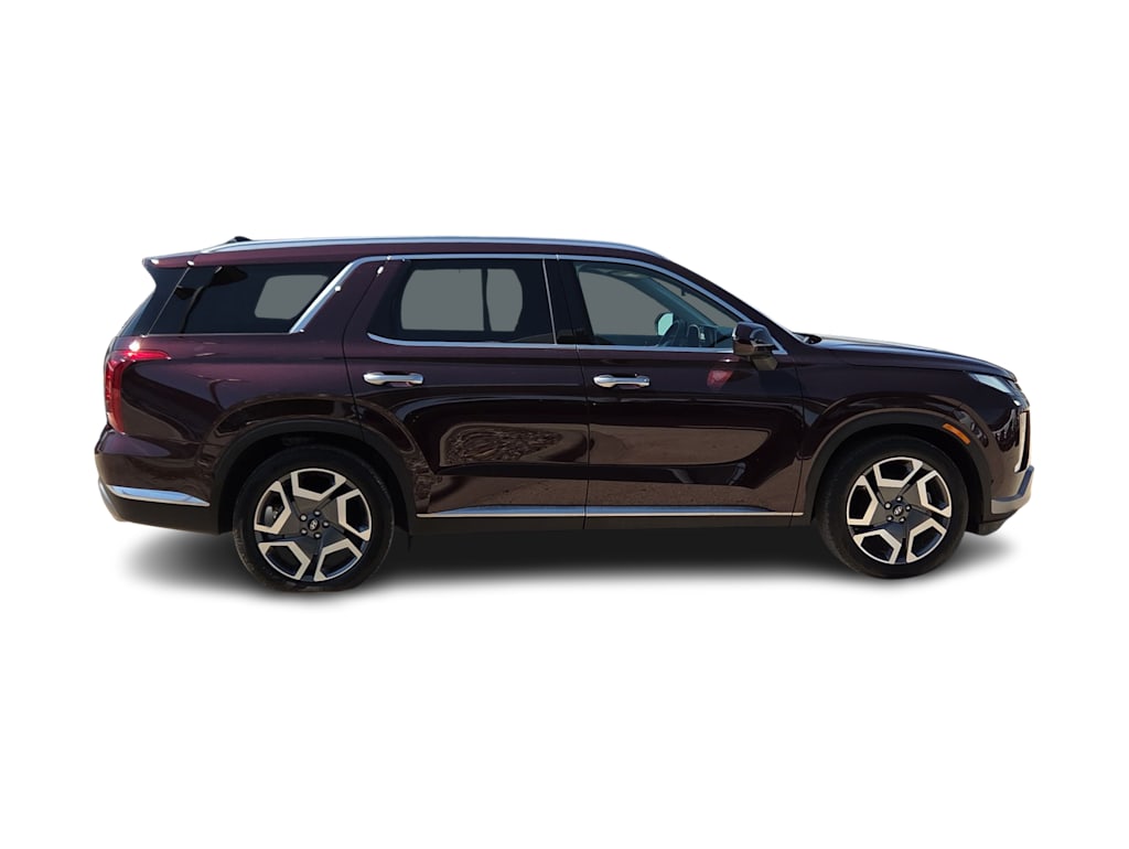 Thumbnail: 2025 Hyundai Palisade - 20