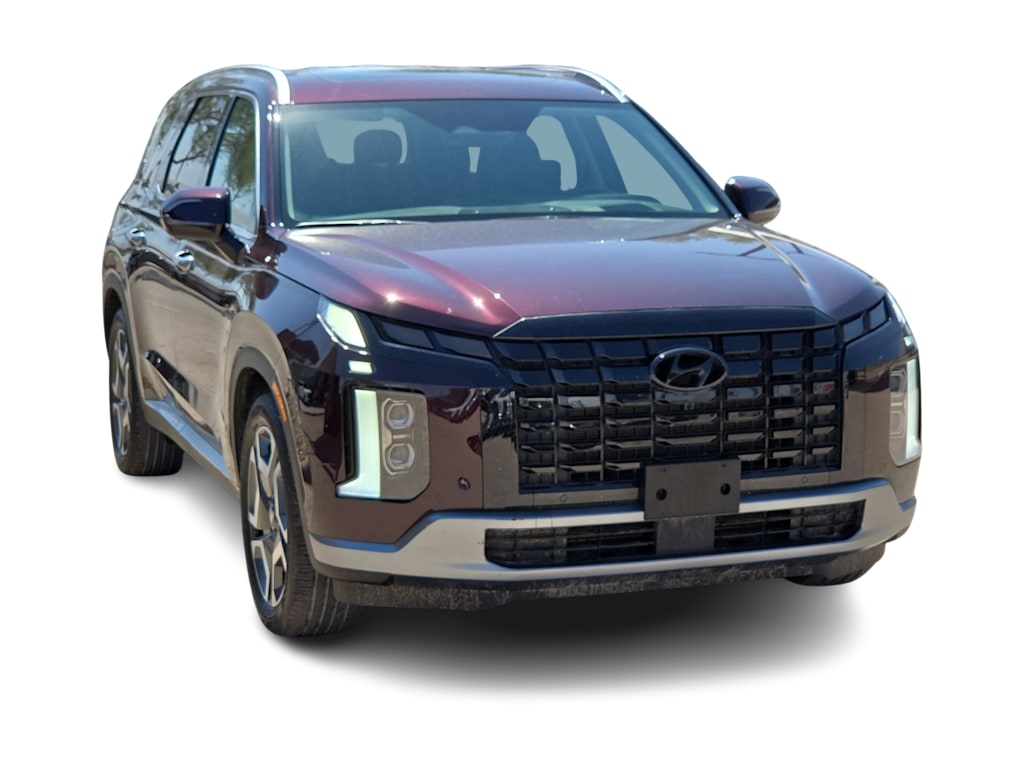 Thumbnail: 2025 Hyundai Palisade - 17