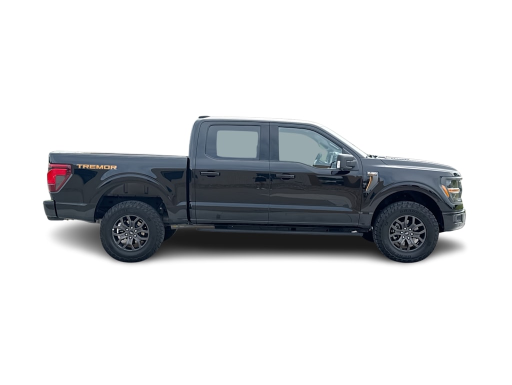 Thumbnail: 2025 Ford F-150 - 19