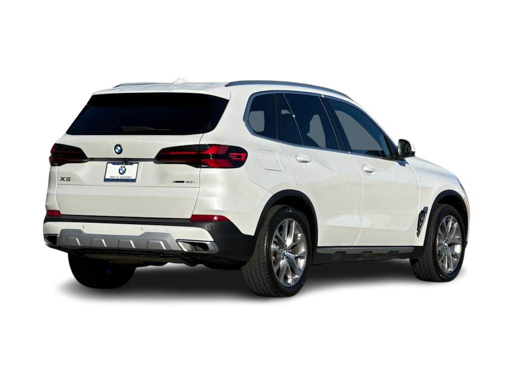 Thumbnail: 2025 BMW X5 - 17