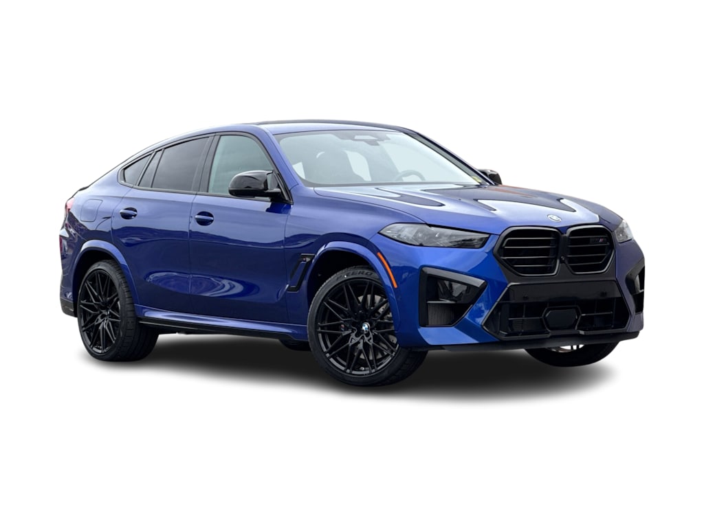 Thumbnail: 2024 BMW X6 - 19
