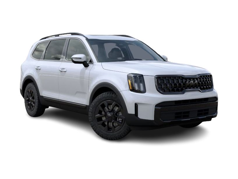 2025 Kia Telluride EX 18