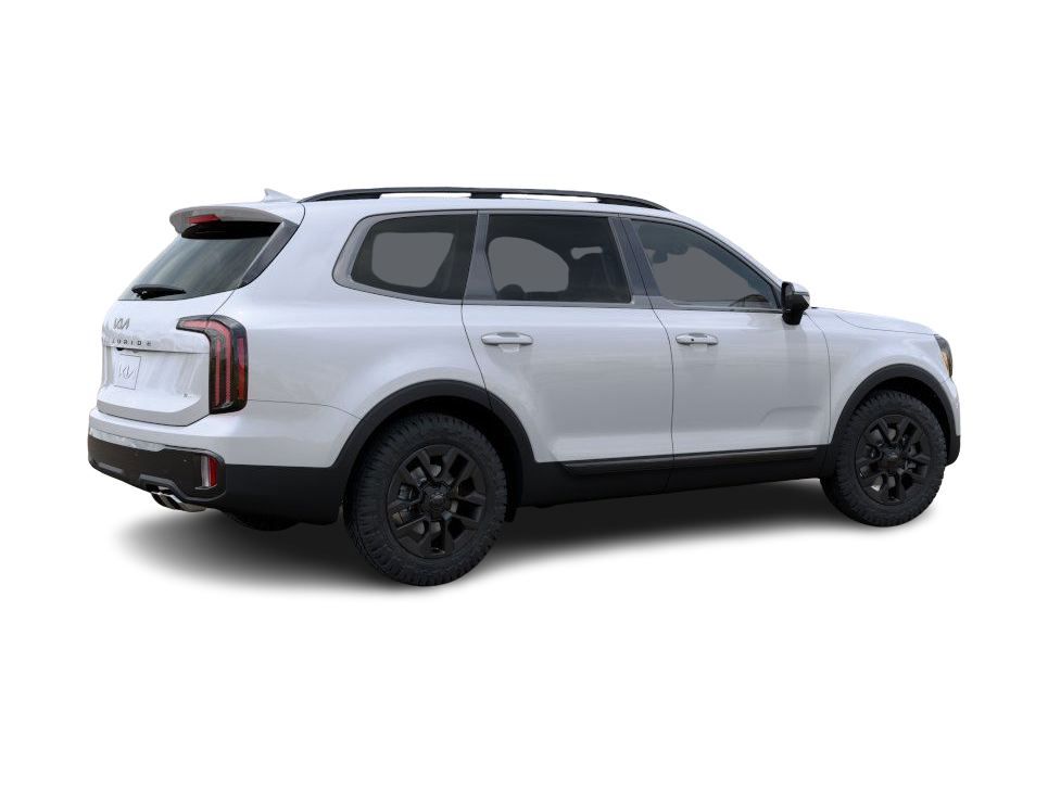 2025 Kia Telluride EX 16