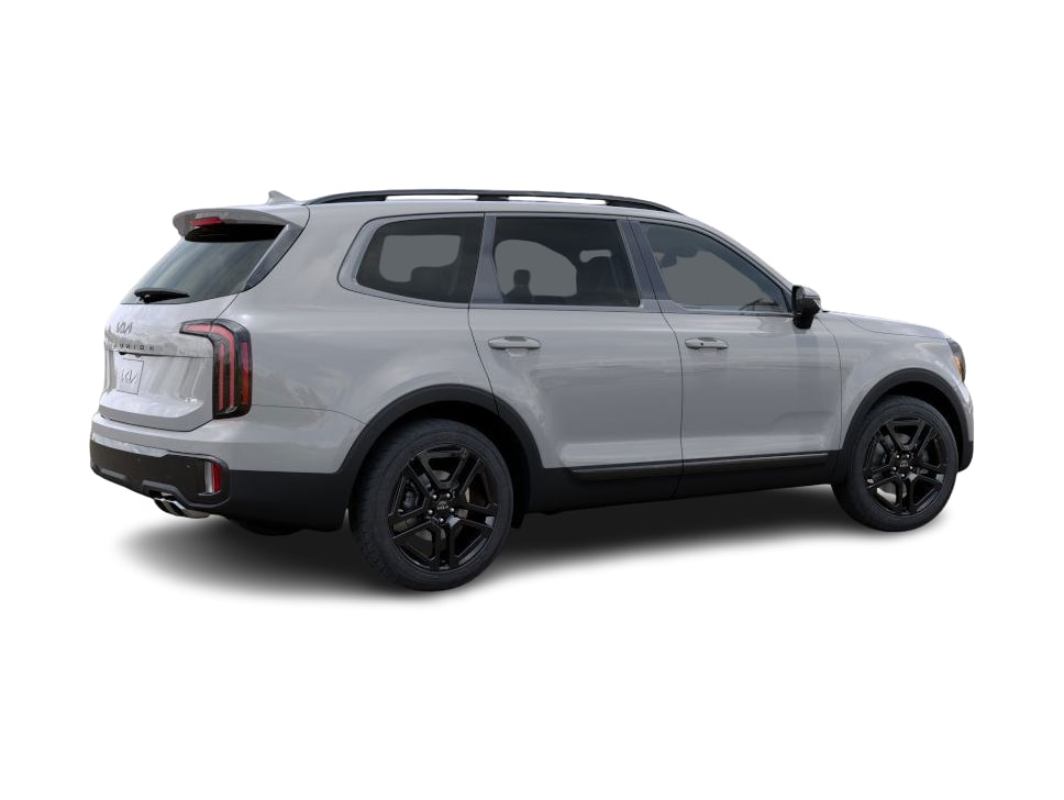 2025 Kia Telluride EX 15