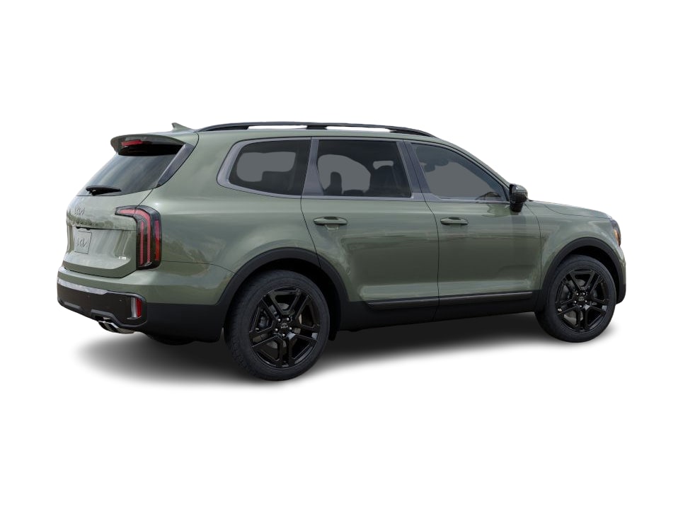 2025 Kia Telluride SX 15