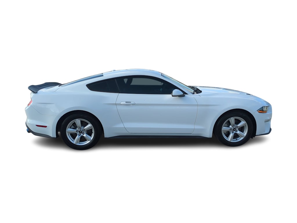Thumbnail: 2019 Ford Mustang - 22