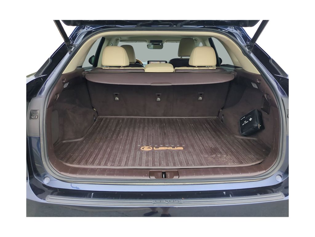 Thumbnail: 2017 Lexus RX - 19