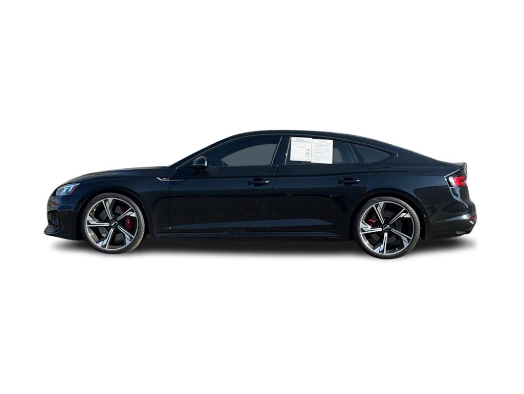 Thumbnail: 2019 Audi RS 5 - 3