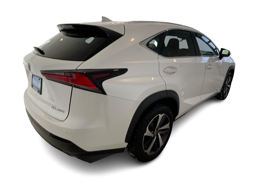 2019 Lexus NX 300 19