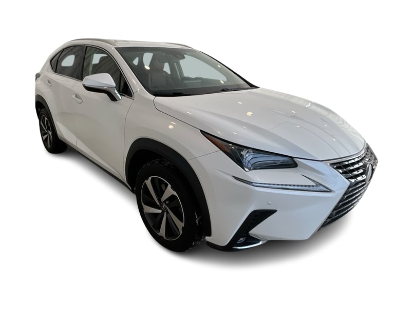 2019 Lexus NX 300 18