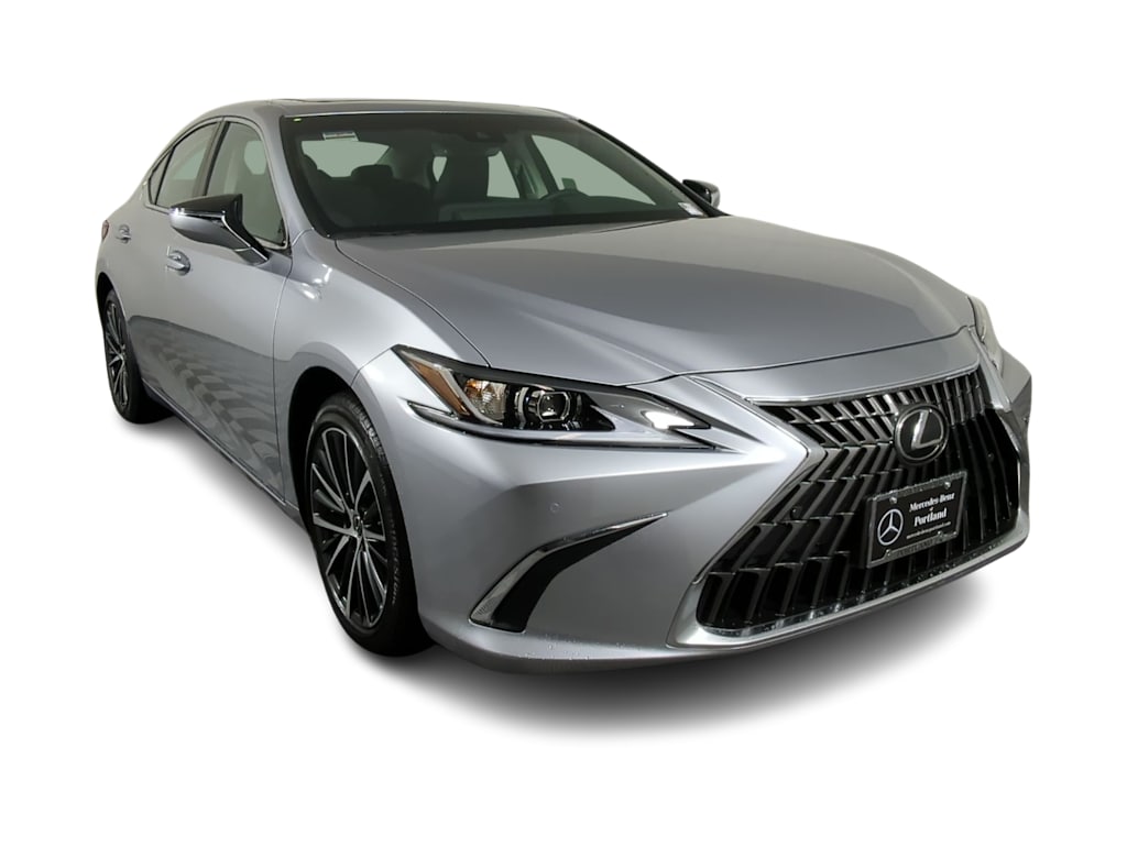 2024 Lexus ES 250 43