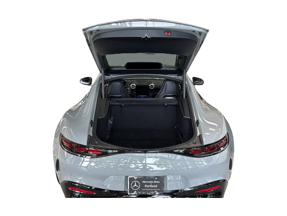 Thumbnail: 2025 Mercedes-Benz AMG GT - 14