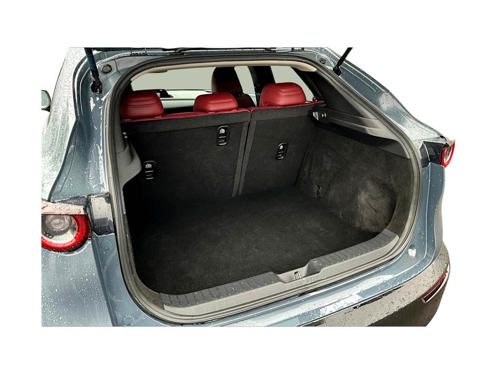 2024 Mazda CX-30 Carbon 19